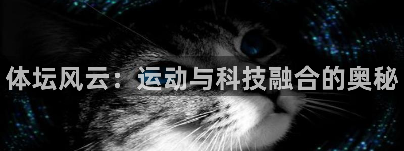xc体育