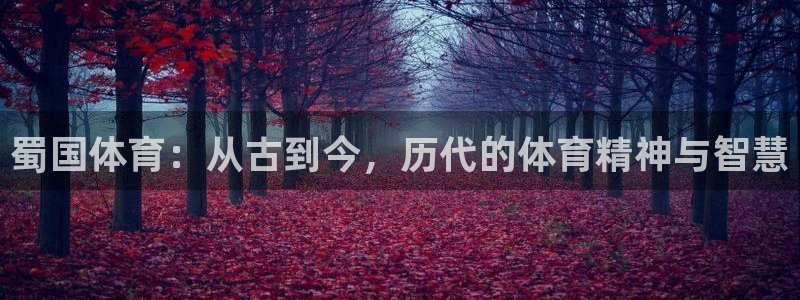 xc体育app官方网站