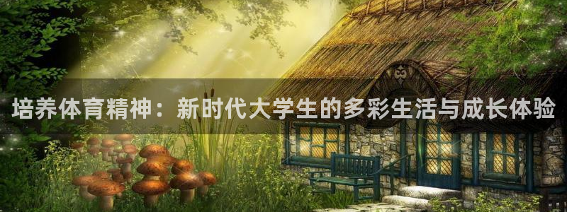 xc体育app官方网站