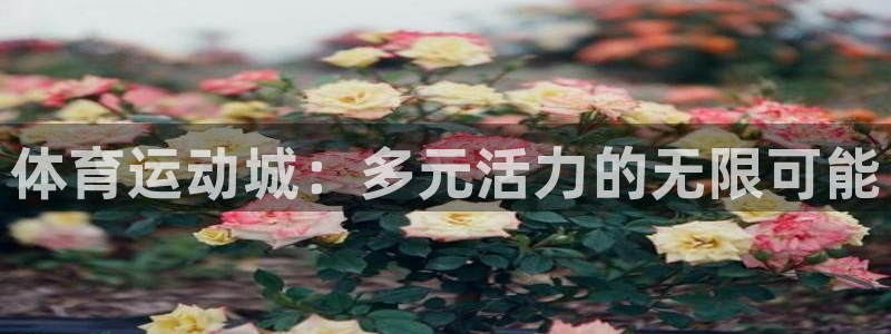 xc体育app官方网站
