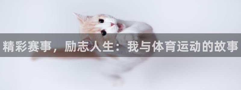 xc体育app官方网站