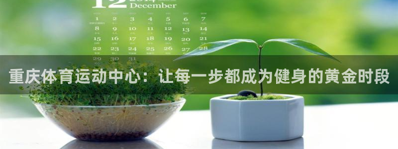 xc体育app官方网站