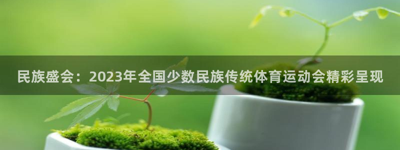 xc体育app官方网站