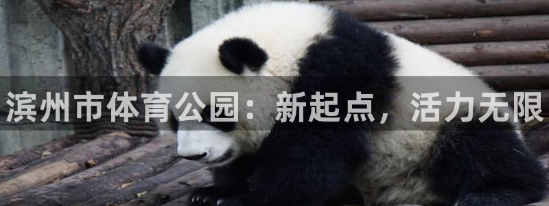 xc体育app官方网站
