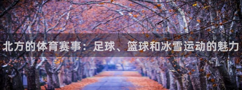 xc体育app官方网站
