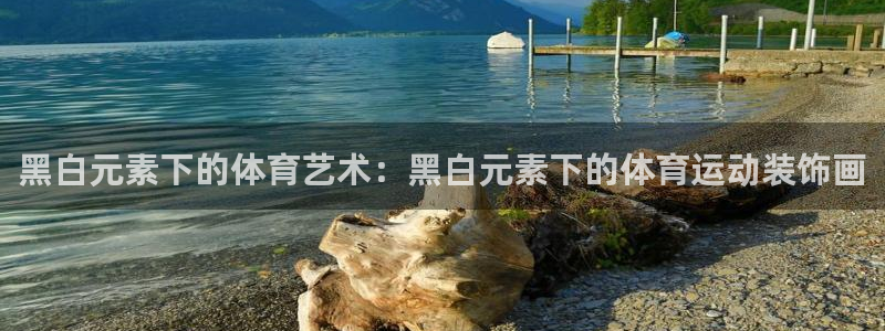 xc体育app官方网站