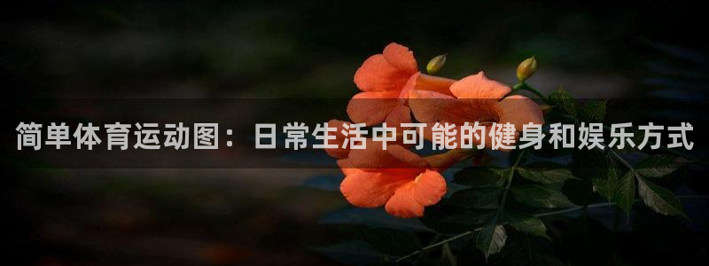 xc体育app官方网站