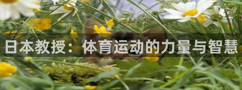 xc体育