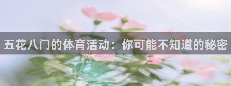 xc体育app官方网站