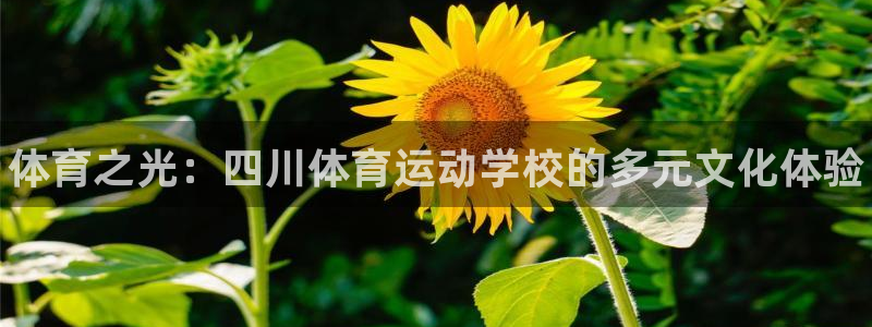 xc体育