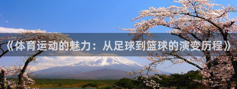 xc体育