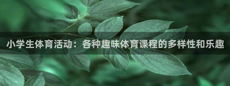 xc体育app官方网站