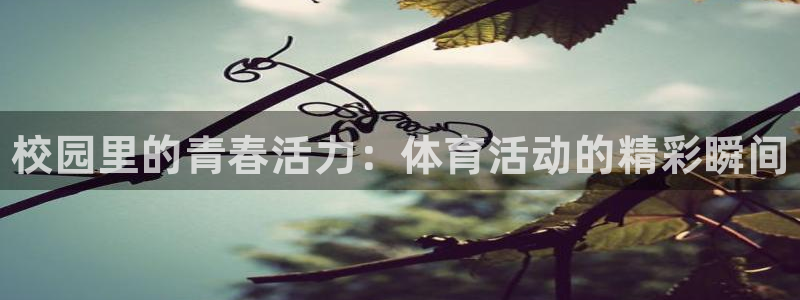 xc体育