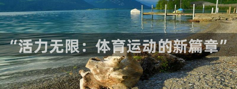 xc体育app官方网站