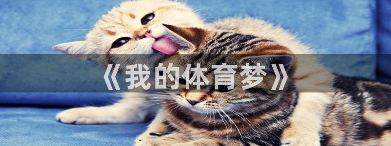 xc体育app官方网站