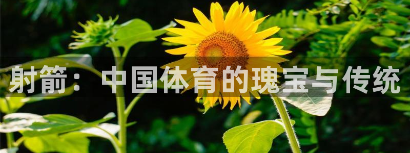 xc体育