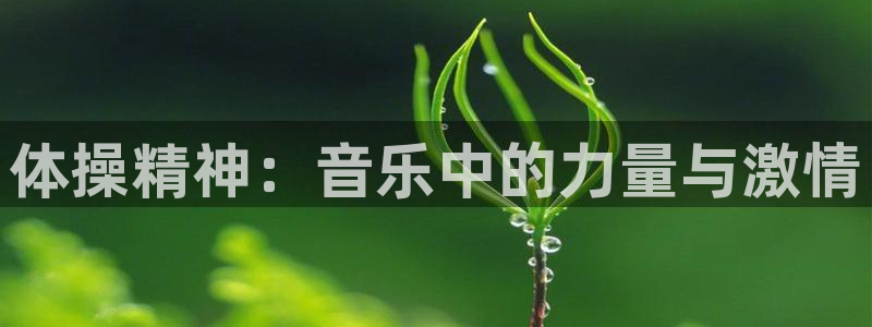 xc体育