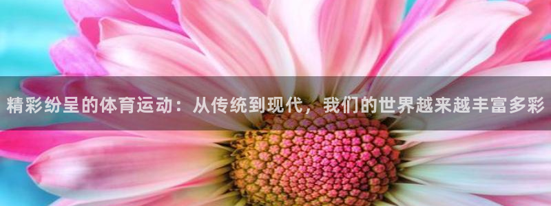 xc体育