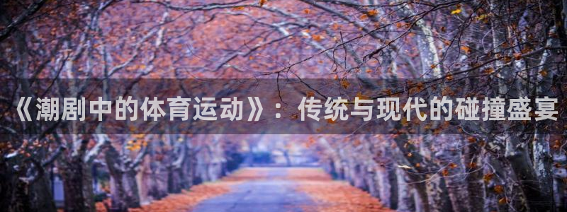 xc体育app官方网站