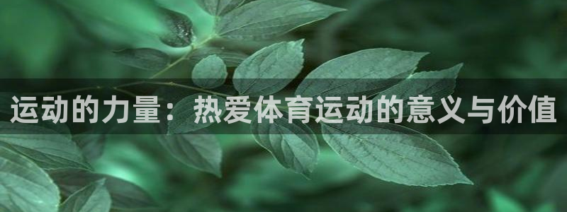 xc体育