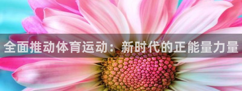 xc体育